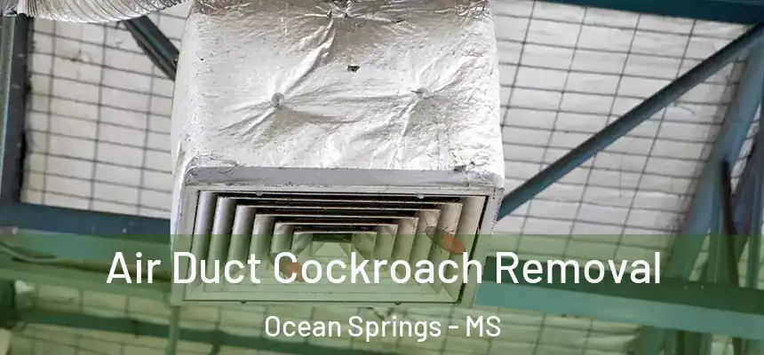  Air Duct Cockroach Removal Ocean Springs - MS