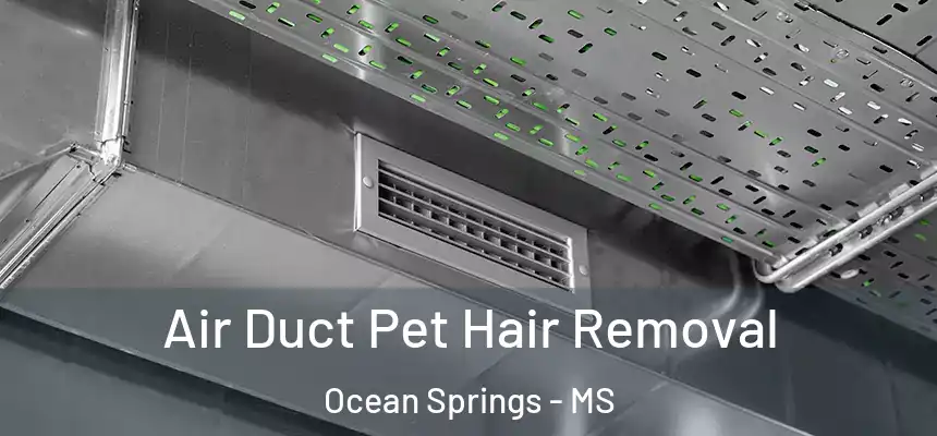  Air Duct Pet Hair Removal Ocean Springs - MS