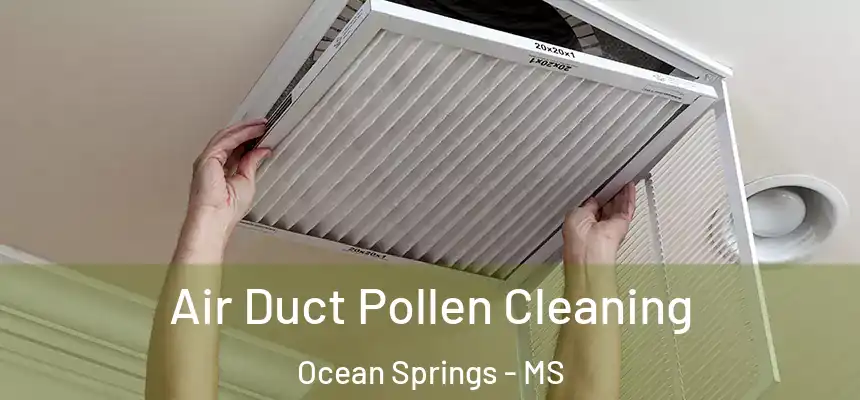  Air Duct Pollen Cleaning Ocean Springs - MS