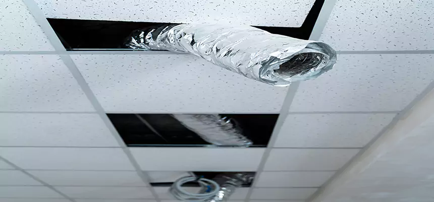 Our Air Duct Pet Hair Removal Services in Ocean Springs, MS