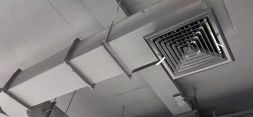 Restorative Allergy Relief Vent Cleaning – Coil, Blower & Housing Detail in Ocean Springs