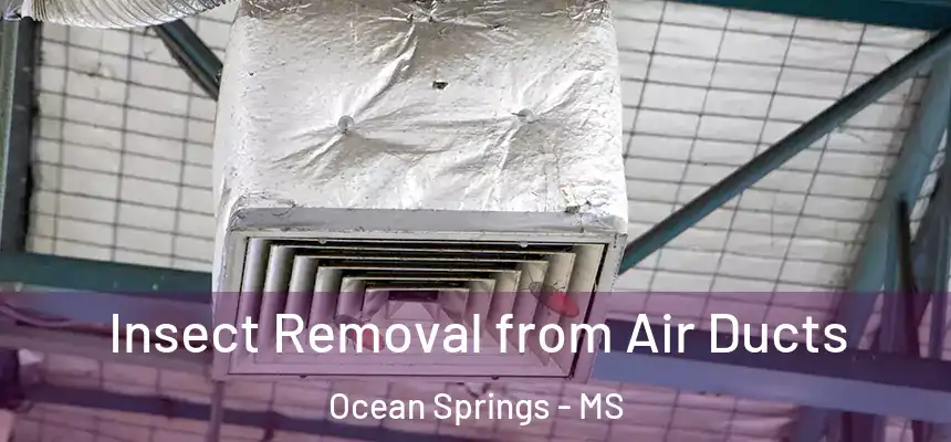  Insect Removal from Air Ducts Ocean Springs - MS