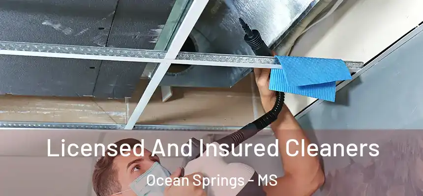  Licensed And Insured Cleaners Ocean Springs - MS