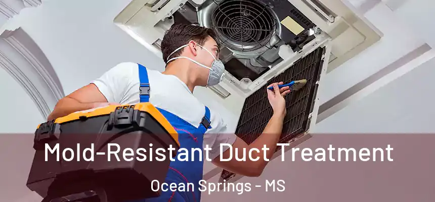  Mold-Resistant Duct Treatment Ocean Springs - MS
