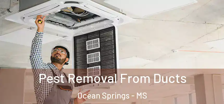  Pest Removal From Ducts Ocean Springs - MS