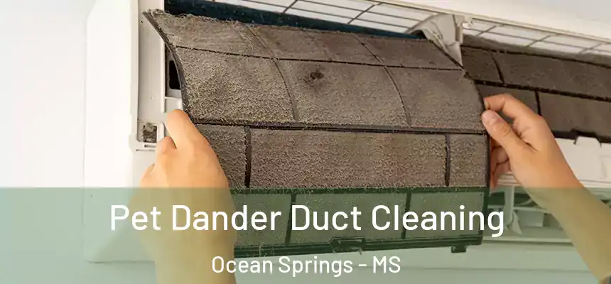  Pet Dander Duct Cleaning Ocean Springs - MS