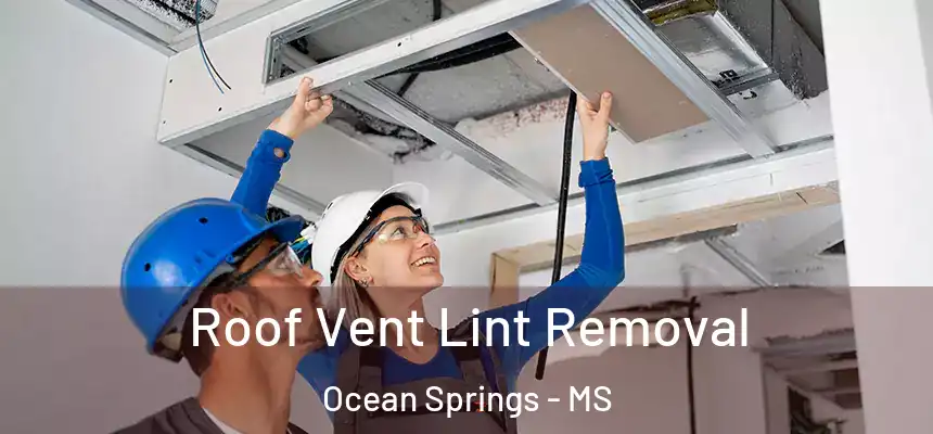  Roof Vent Lint Removal Ocean Springs - MS