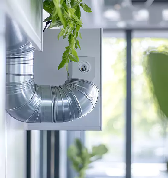 Professional Eco-Friendly Duct Cleaning Services in Ocean Springs, MS