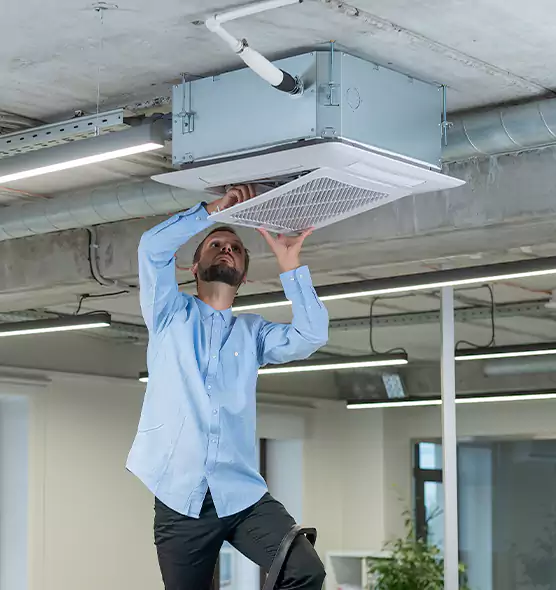Advanced Rodent Droppings In Vents in Ocean Springs, MS