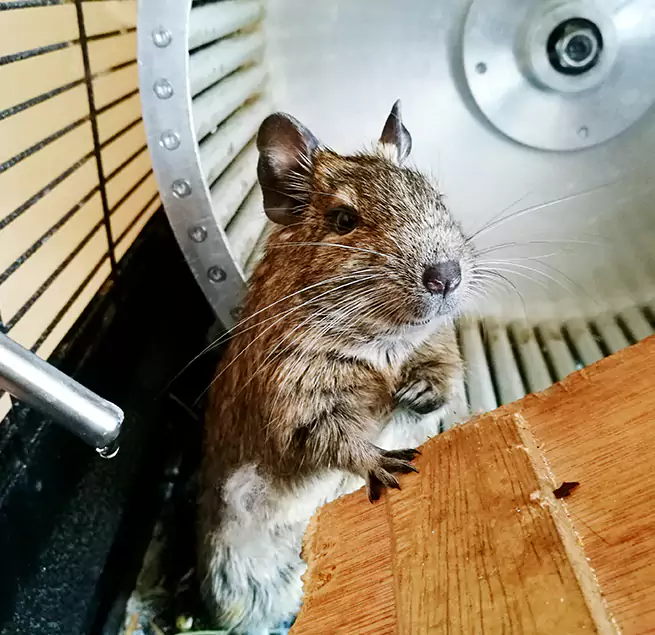 Why Homeowners & Businesses Trust Us Ocean Springs, MS