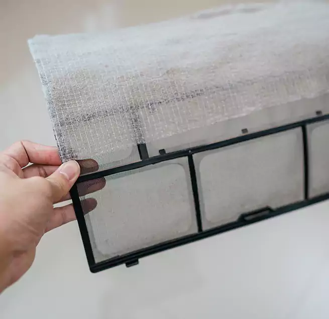 Why Homeowners & Businesses Trust Us in Ocean Springs, MS?