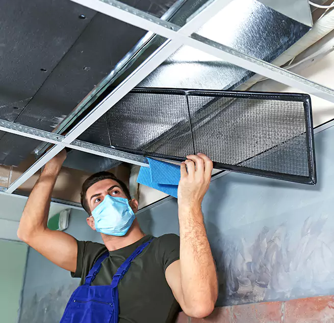 Why Homeowners & Businesses Trust Us in Ocean Springs, MS?