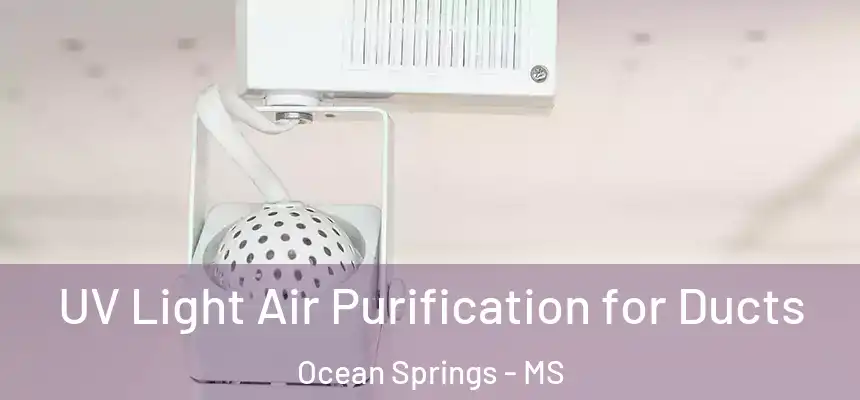  UV Light Air Purification for Ducts Ocean Springs - MS